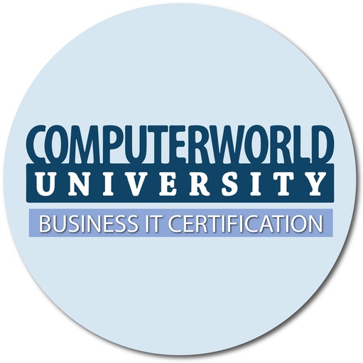 Business IT